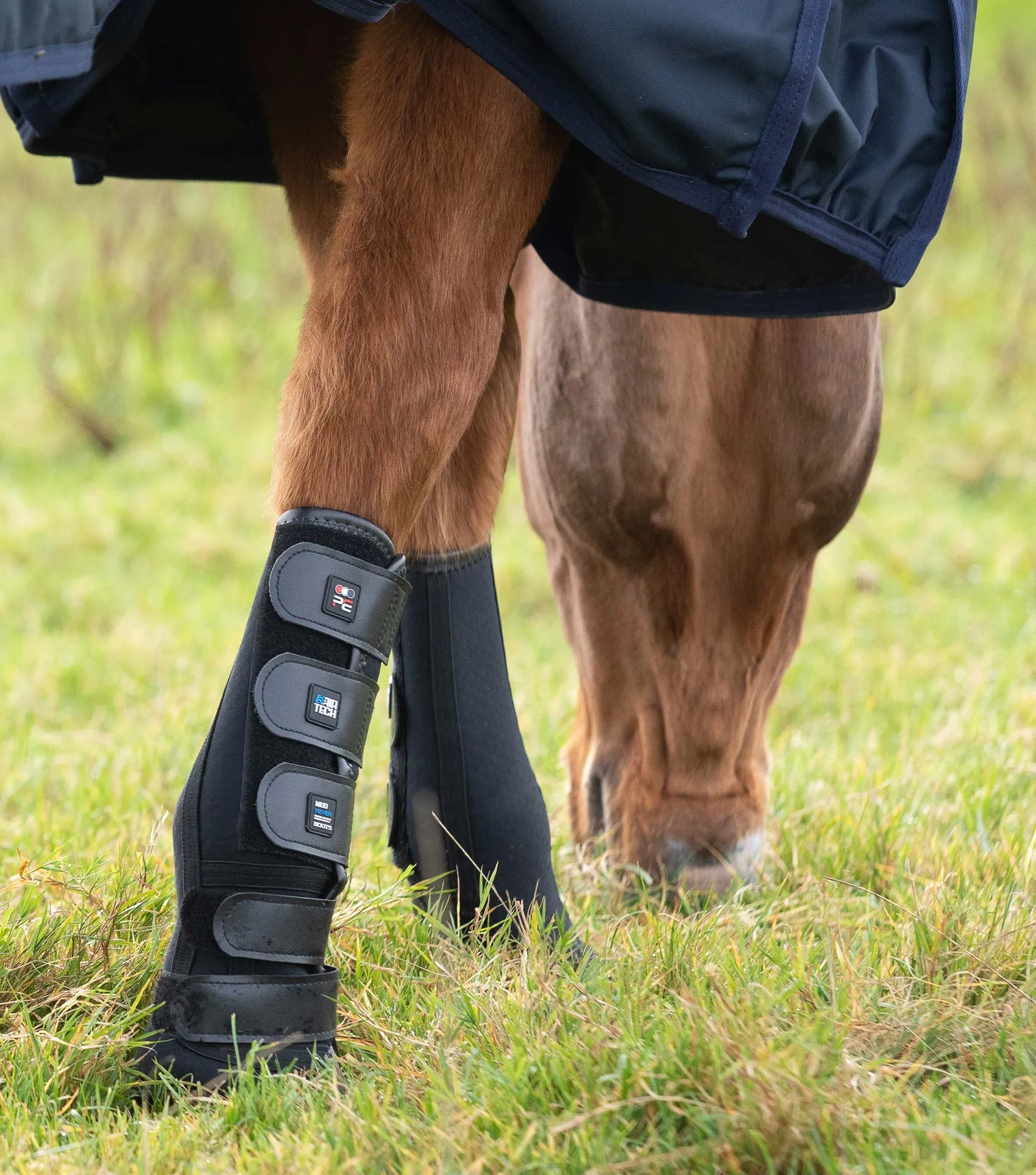 Turnout/ Mud Fever Boots